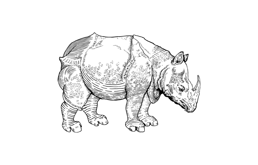 image placeholder image placeholder