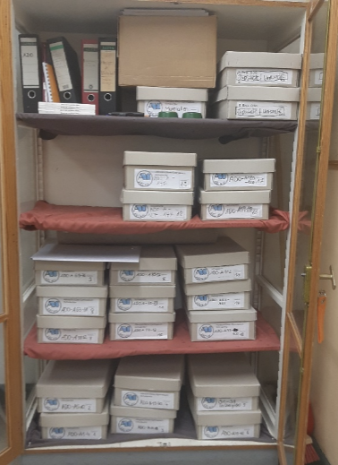 grafik-1-1 grafik-1-1