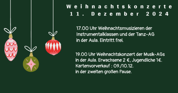 Plakat_Weihnachtskonzert_2024(1)